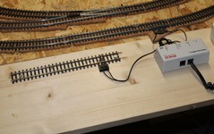 PLA0057ex.JPG