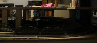 PLA0073ex.JPG